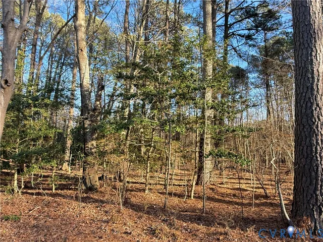 $35,000 | Lot 1 Timberneck Road, Deltaville, VA 23043