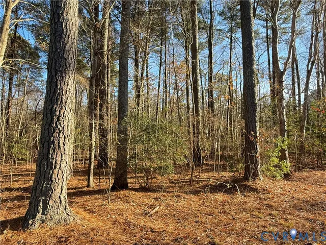 $35,000 | Lot 1 Timberneck Road, Deltaville, VA 23043