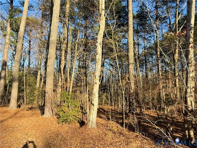 $35,000 | Lot 1 Timberneck Road, Deltaville, VA 23043