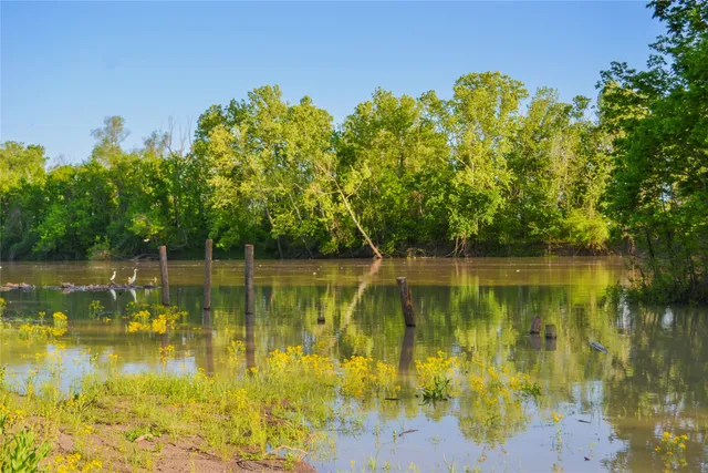 a view of a house with a backyard and chairs
