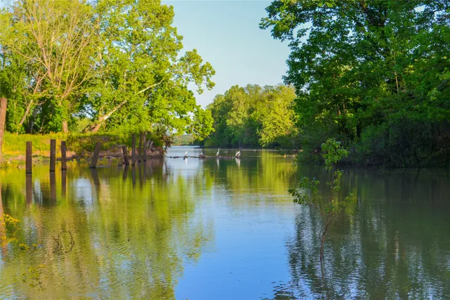 a view of green field with trees in the background