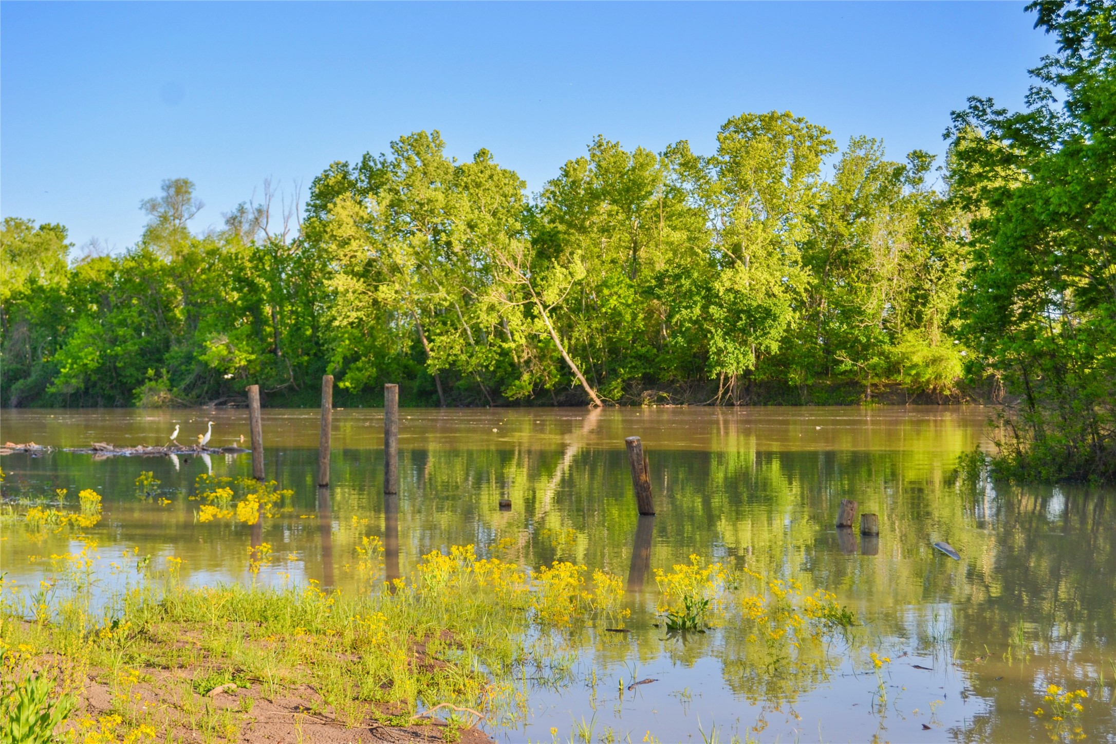 4 Cross Street Trinity, TX 75862 - Photo 30 of 31