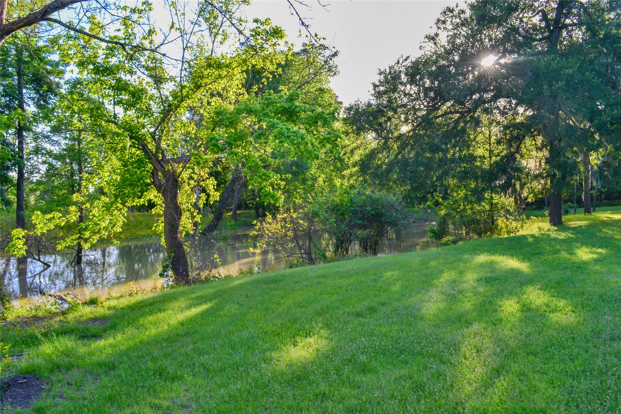 4 Cross Street Trinity, TX 75862 - Photo 31 of 31