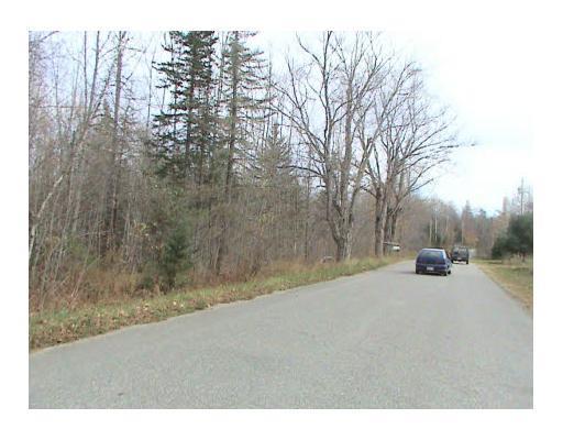 21 Tar Ridge Road Springfield, ME 04487 - Photo 11 of 11 Land.