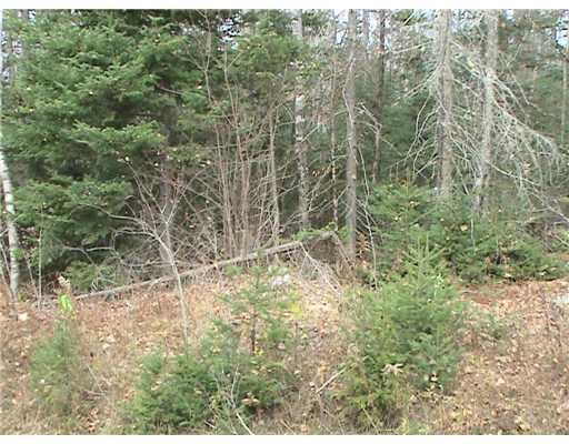 21 Tar Ridge Road Springfield, ME 04487 - Photo 2 of 11 Land.