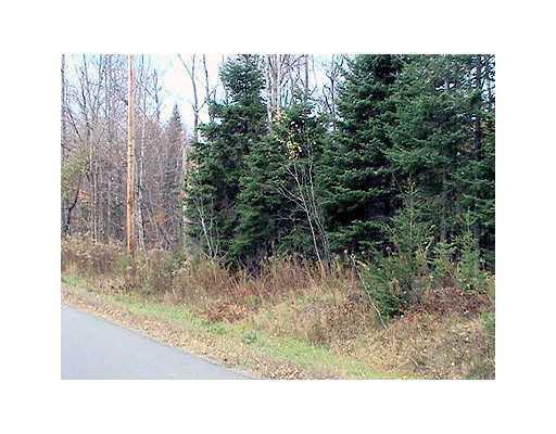 21 Tar Ridge Road Springfield, ME 04487 - Photo 3 of 11 Land.