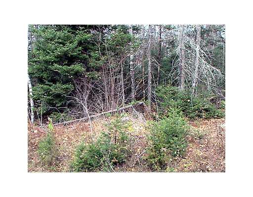 21 Tar Ridge Road Springfield, ME 04487 - Photo 4 of 11 Land.