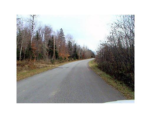 21 Tar Ridge Road Springfield, ME 04487 - Photo 5 of 11 Land.