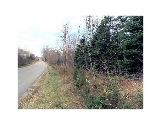 21 Tar Ridge Road Springfield, ME 04487 - Photo 7 of 11 Land.