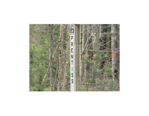 21 Tar Ridge Road Springfield, ME 04487 - Photo 10 of 11 Land.