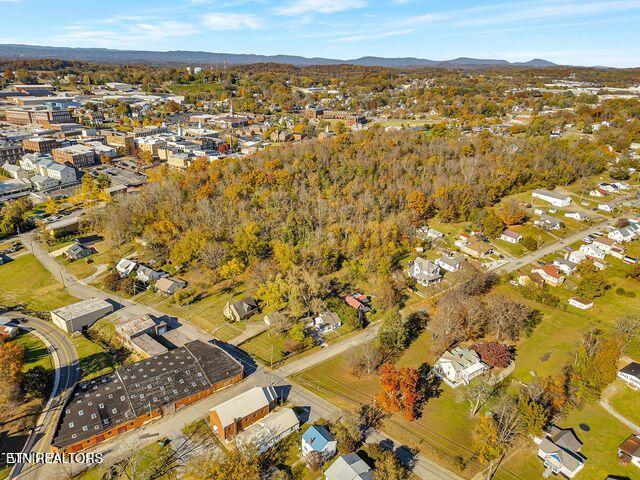 230 Unaka Street Greeneville, TN 37743 - Photo 38 of 45 20251108182755338511000000-o