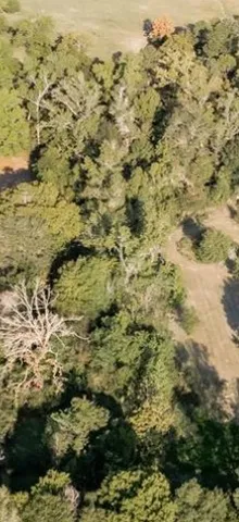 a view of yard with an ocean
