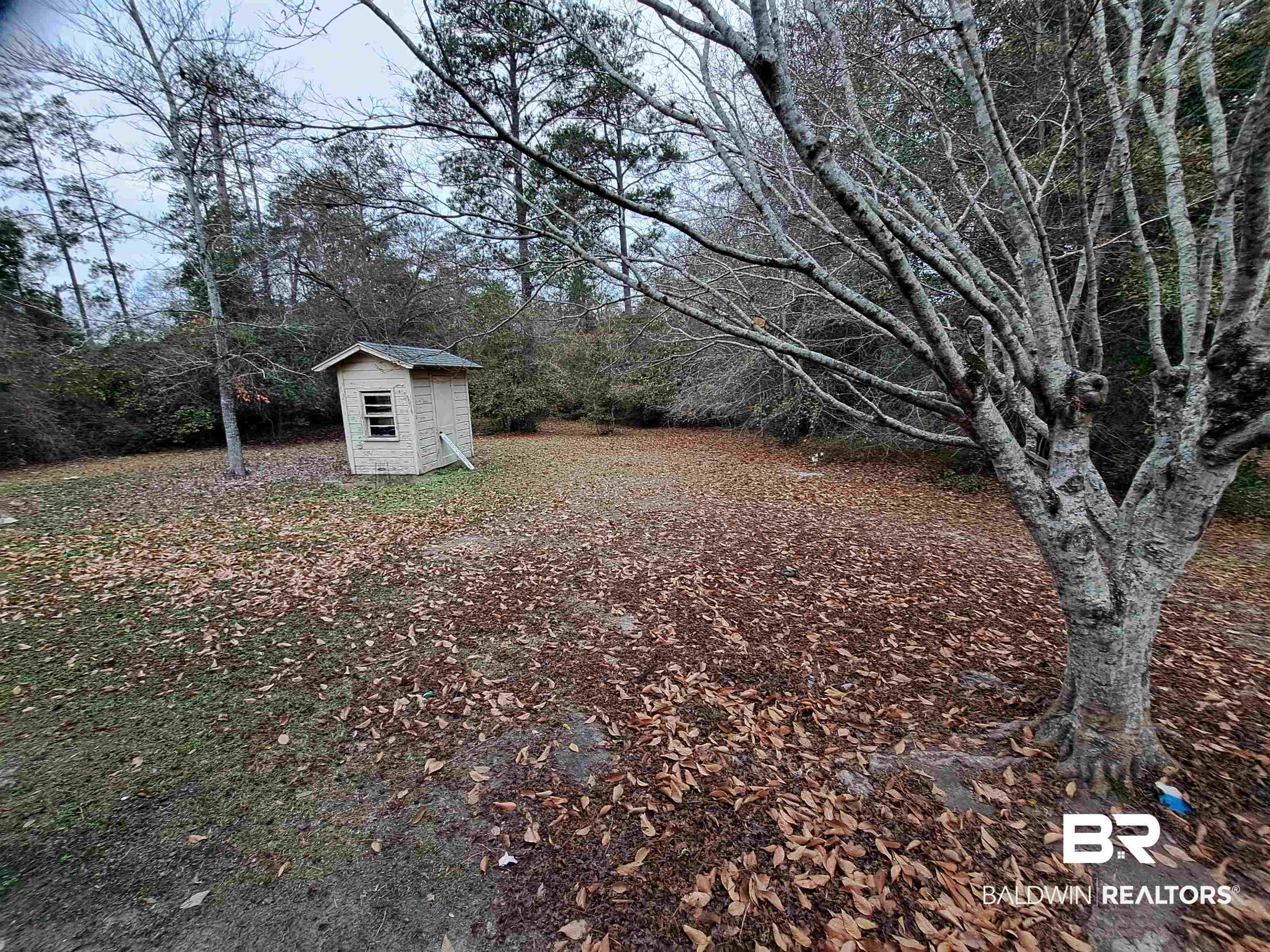 249 Newton Parkway Evergreen, AL 36401 - Photo 26 of 28 View of yard with a storage unit