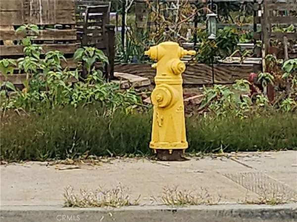 a fire hydrant sitting in the middle of a road
