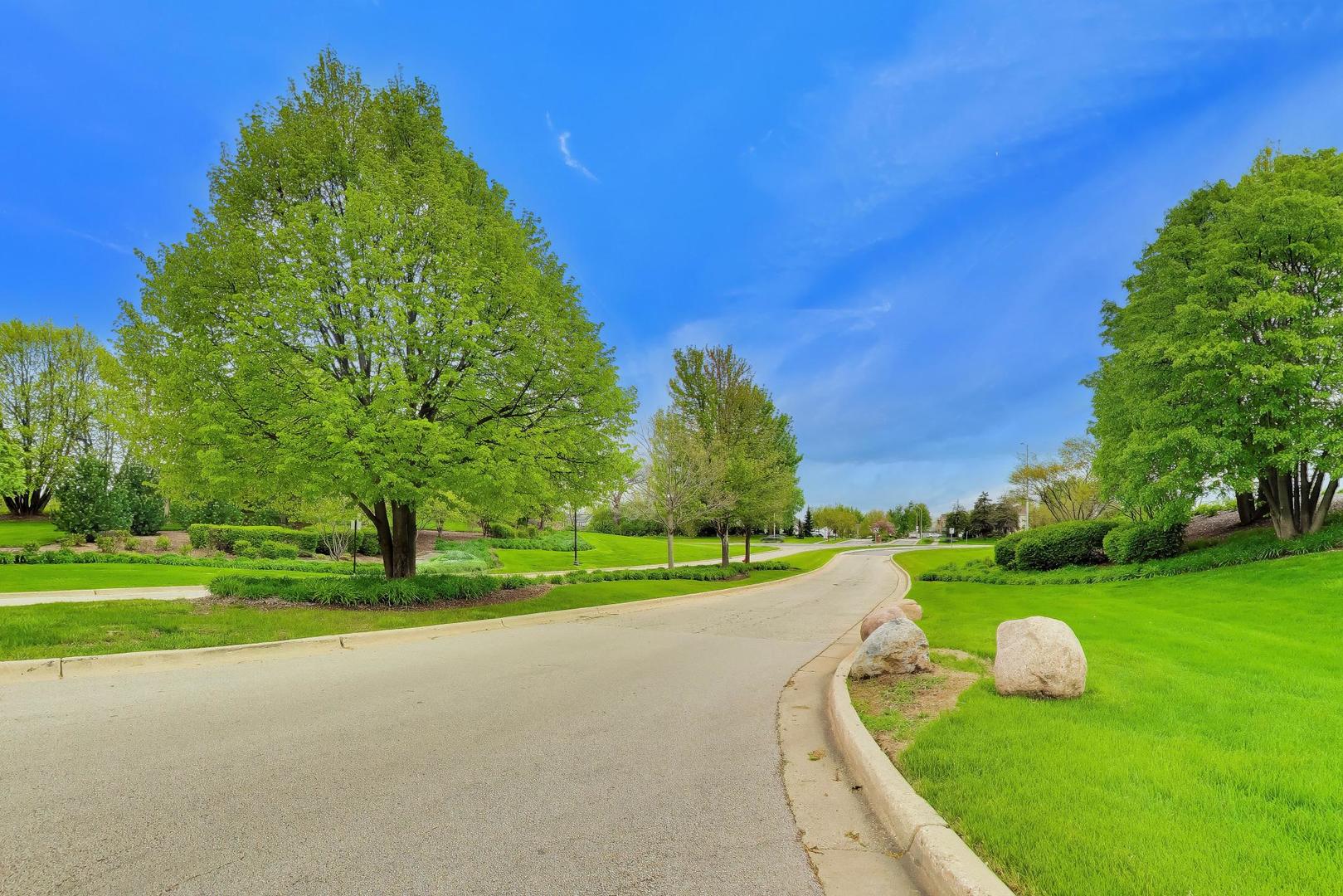 3091 Longcommon Parkway Elgin, IL 60124 - Photo 49 of 50