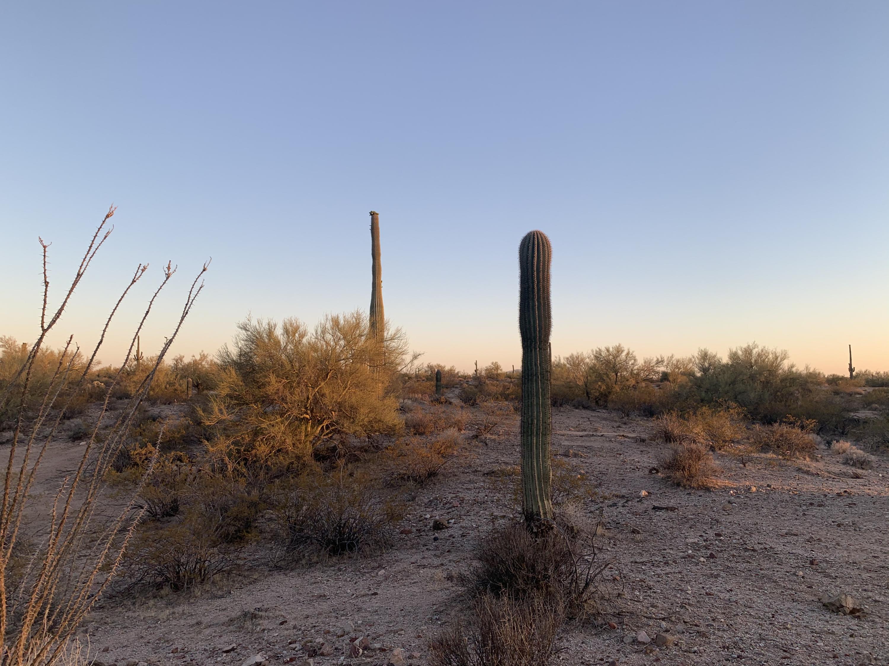 0 North Reed Road Florence, AZ 85132 - Photo 5 of 5 6833A723-011D-41F9-8948-FED58C0A5080