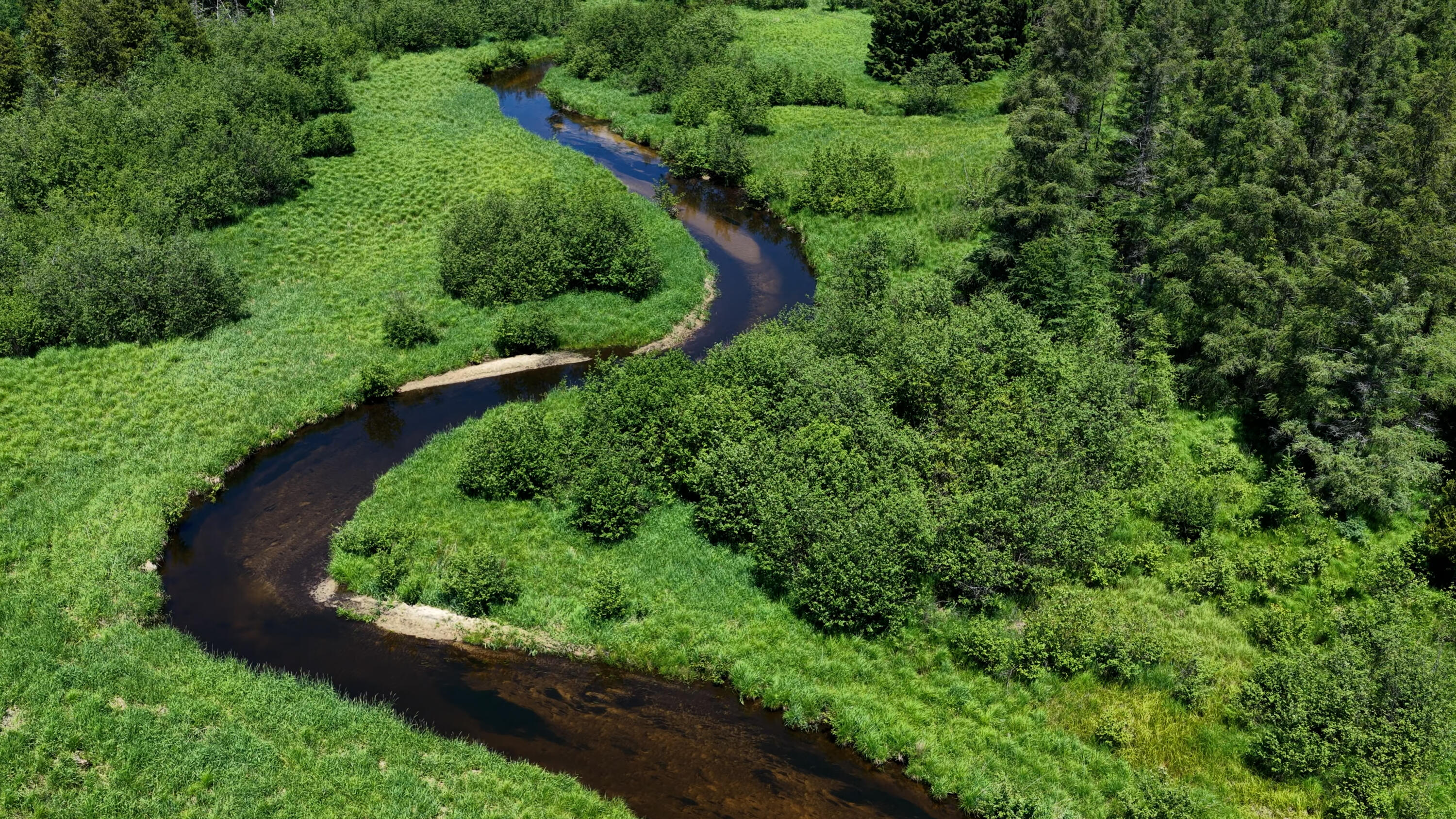 17274 Wilson Road Big Rapids, MI 49307 - Photo 35 of 51 DJI_20260608054318_0075_D.00_16_23_40.St