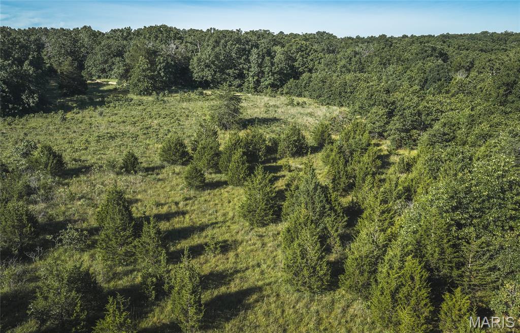 9.93-acres State Rte B St. James, MO 65559 - Photo 6 of 17