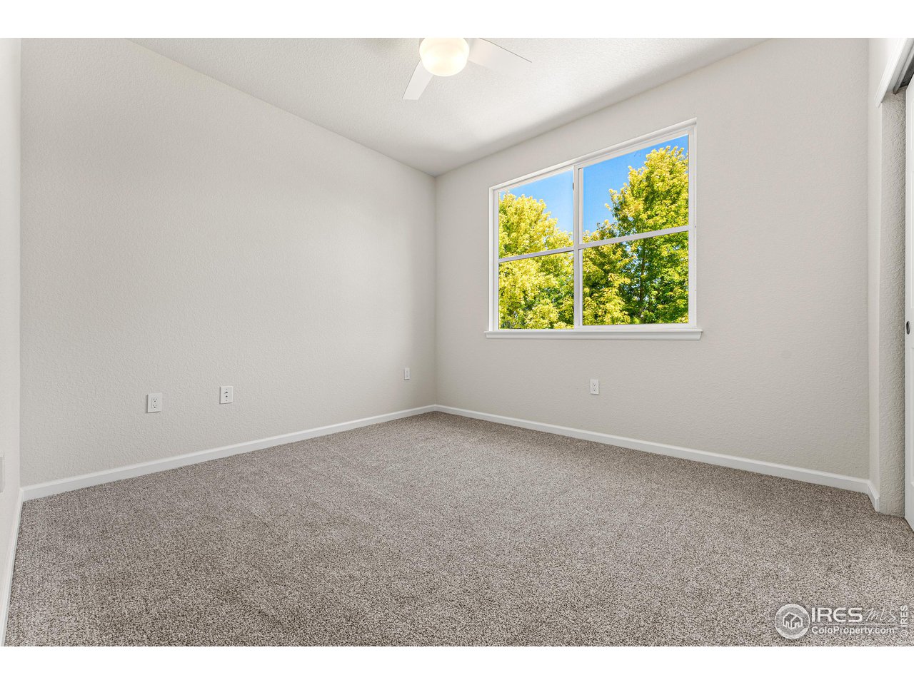 4501 Nelson Road, Unit 2405 Longmont, CO 80503 - Photo 12 of 30 2nd Bedrooom