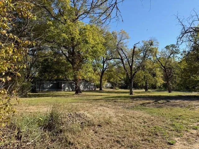 a view of a yard with a trees