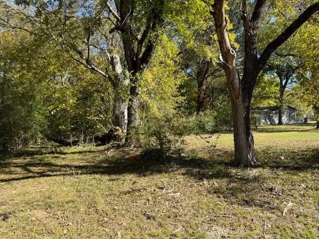 a view of a yard with trees