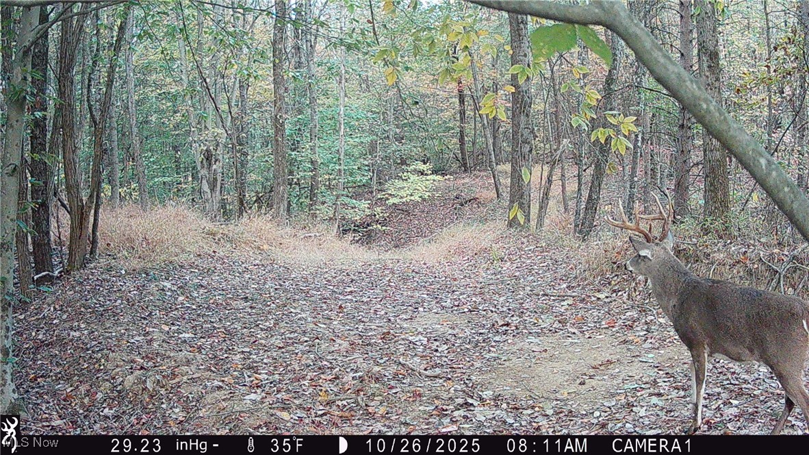 Perl Road Chandlersville, OH 43727 - Photo 29 of 48