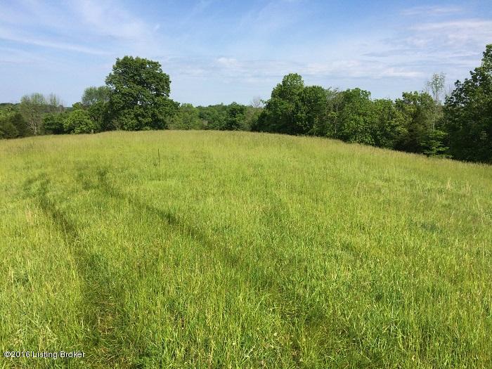 1800 Bells Ridge Road Bedford, KY 40006 - Photo 1 of 4 Photo