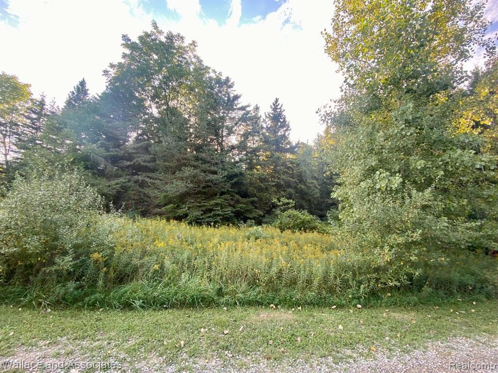 V/l Gardner Line Road Croswell, MI 48422 - Photo 4 of 6