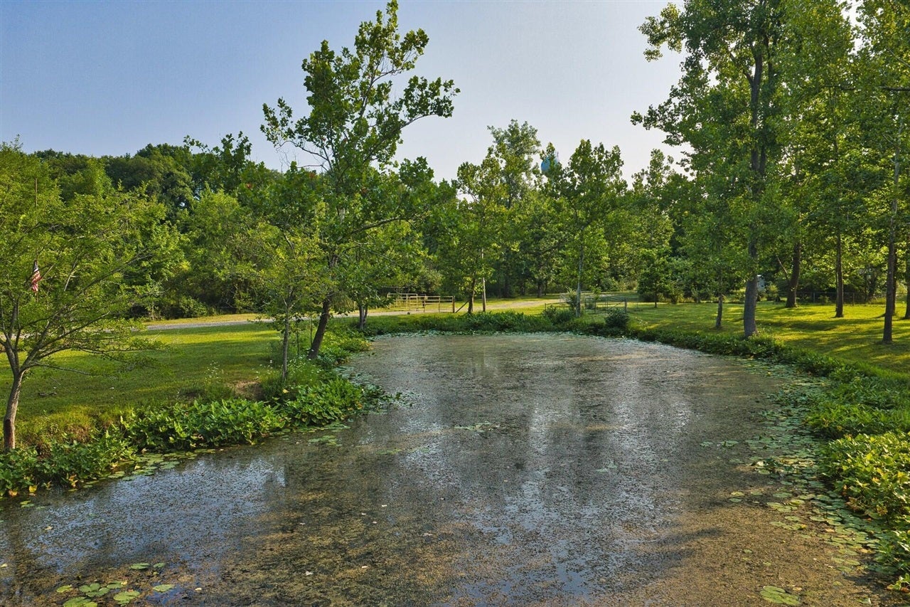 299 Rodeo Drive Union City, MI 49094 - Photo 52 of 94 Gallery Image 52