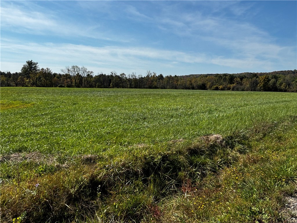 172 Ed Hill Road Dryden, NY 13068 - Photo 27 of 42