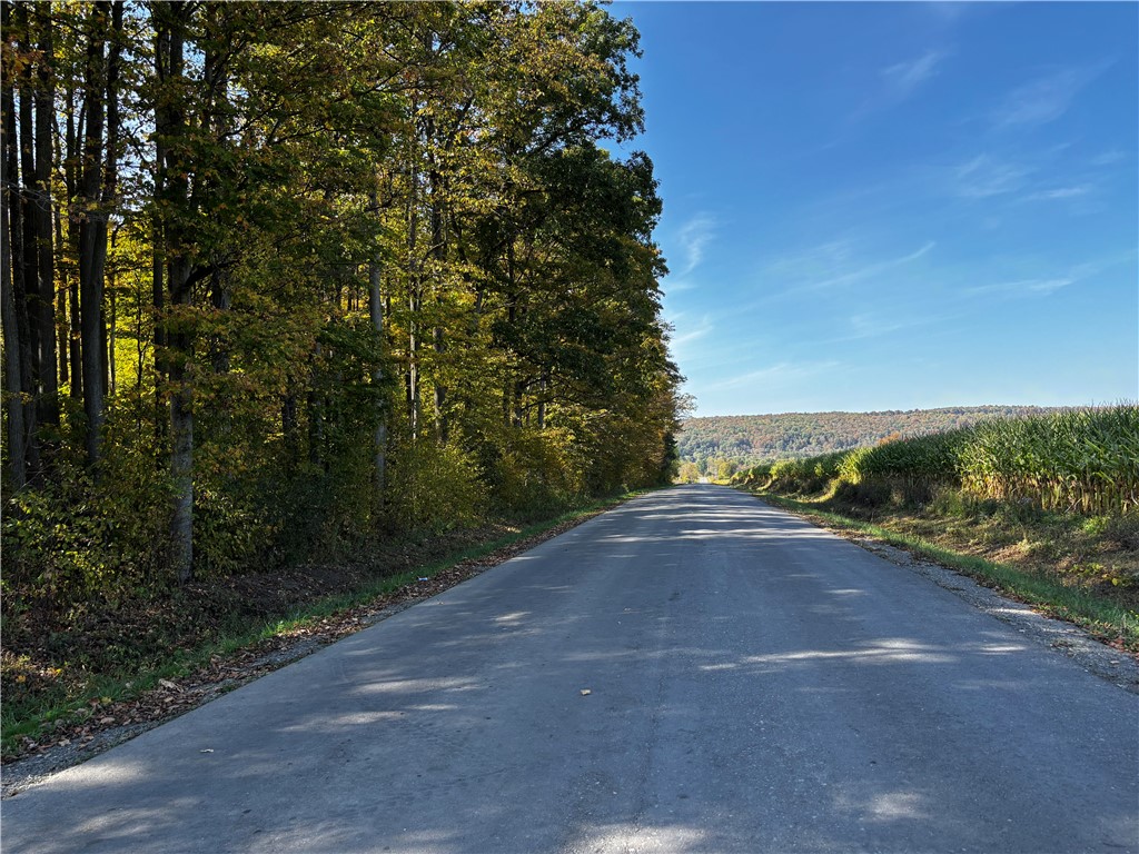 172 Ed Hill Road Dryden, NY 13068 - Photo 28 of 42 Hile School Rd