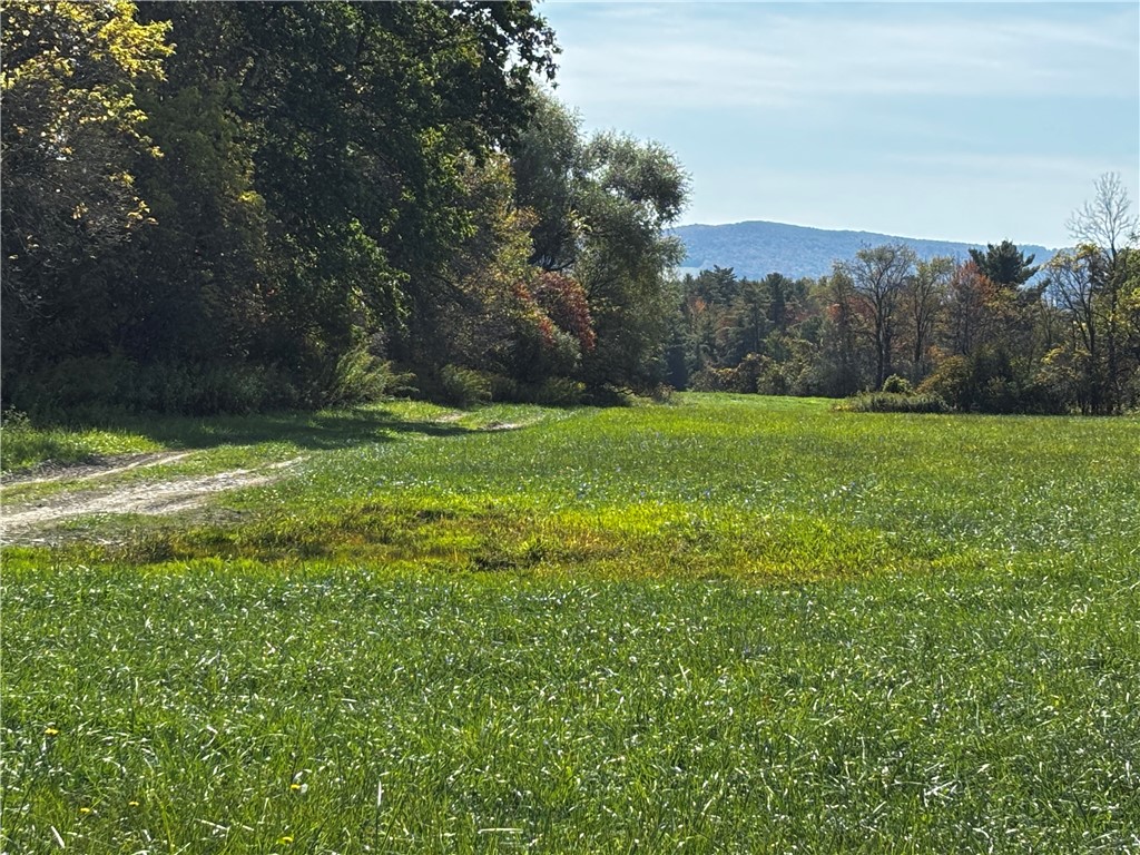 172 Ed Hill Road Dryden, NY 13068 - Photo 29 of 42