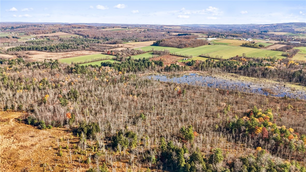 172 Ed Hill Road Dryden, NY 13068 - Photo 39 of 42