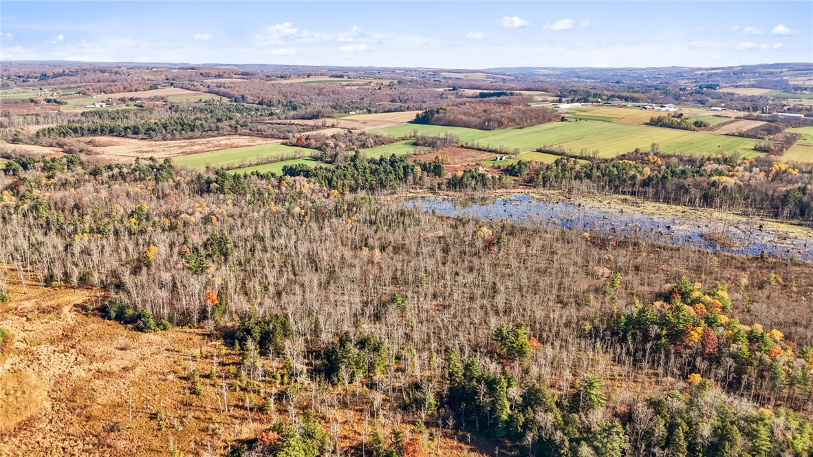 172 Ed Hill Road Dryden, NY 13068 - Photo 41 of 42