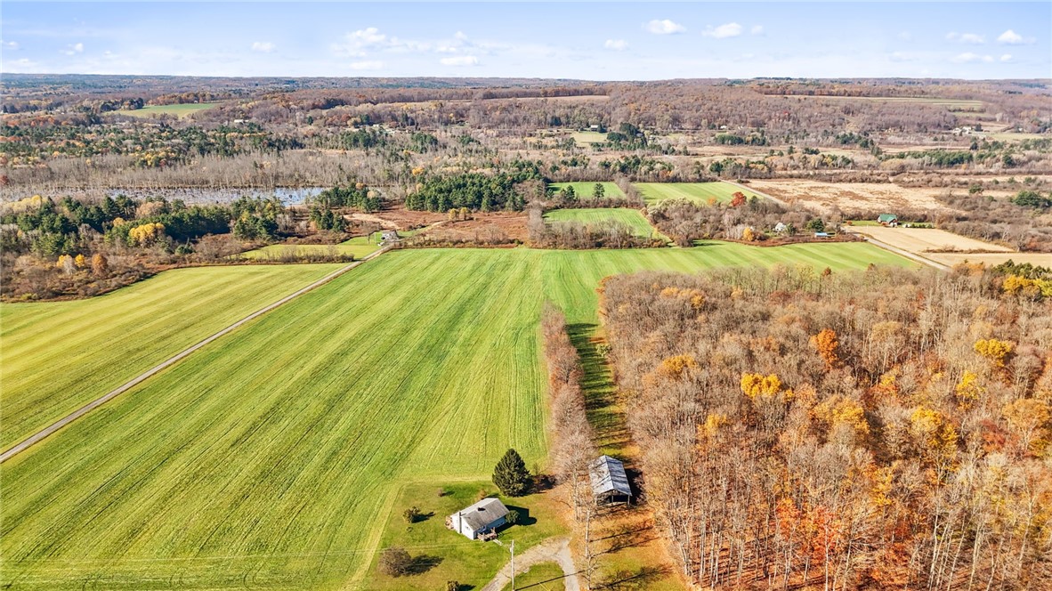 172 Ed Hill Road Dryden, NY 13068 - Photo 5 of 42