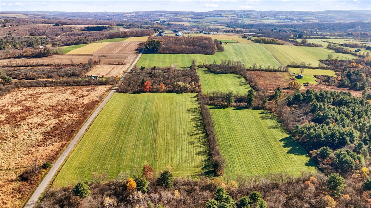 172 Ed Hill Road Dryden, NY 13068 - Photo 7 of 42