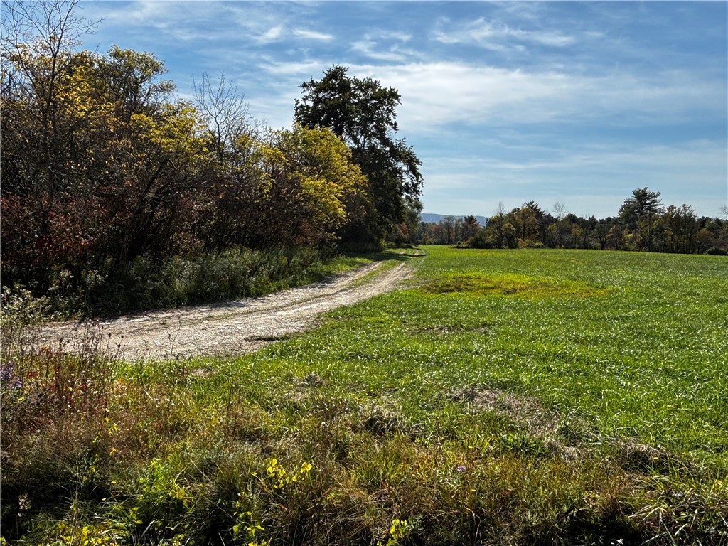 172 Ed Hill Road Dryden, NY 13068 - Photo 8 of 42