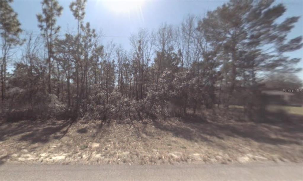 6224 Southwest 147th St Road Ocala, FL 34473 - Photo 1 of 1 a view of a yard