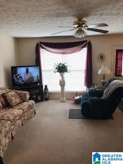 133 Danview Road Jacksonville, AL 36265 - Photo 5 of 30