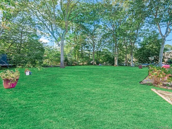 a view of a garden with flowers and trees