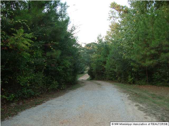 6257 Arkabutla Road Coldwater, MS 38618 - Photo 3 of 15 Additional Photo
