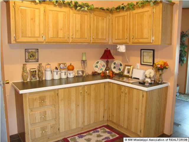 6257 Arkabutla Road Coldwater, MS 38618 - Photo 8 of 15 Additional Photo