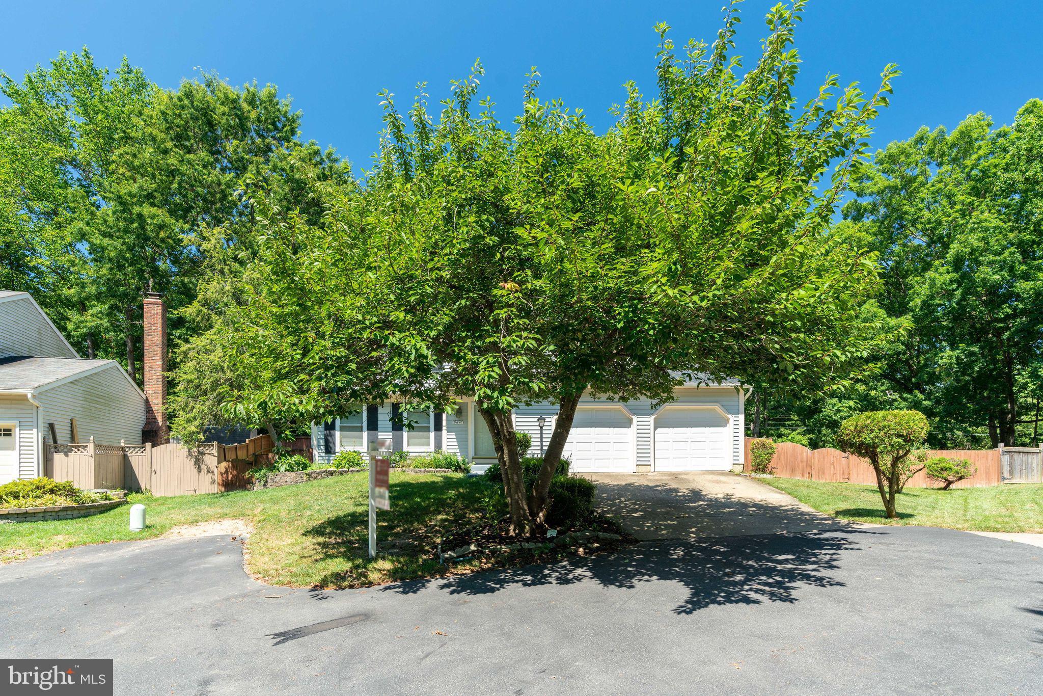 8698 Young Court Springfield, VA 22153 - Photo 3 of 53 Gallery Image 3