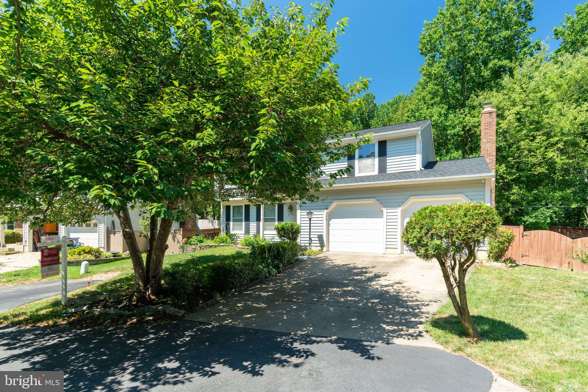 8698 Young Court Springfield, VA 22153 - Photo 4 of 53 Gallery Image 4