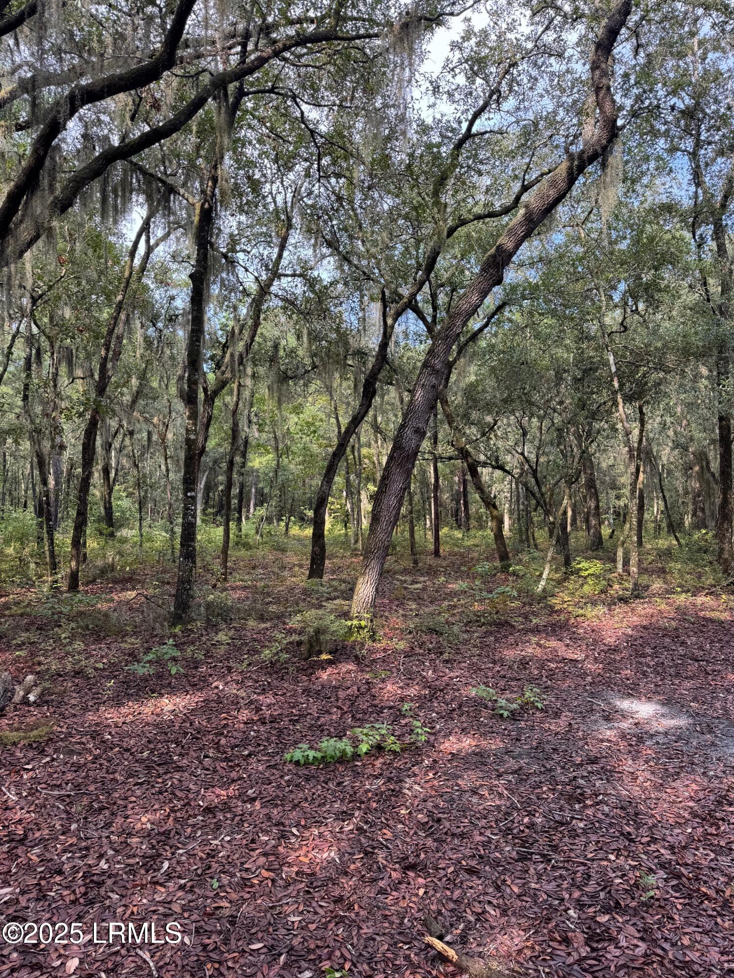 IMG_3444-5