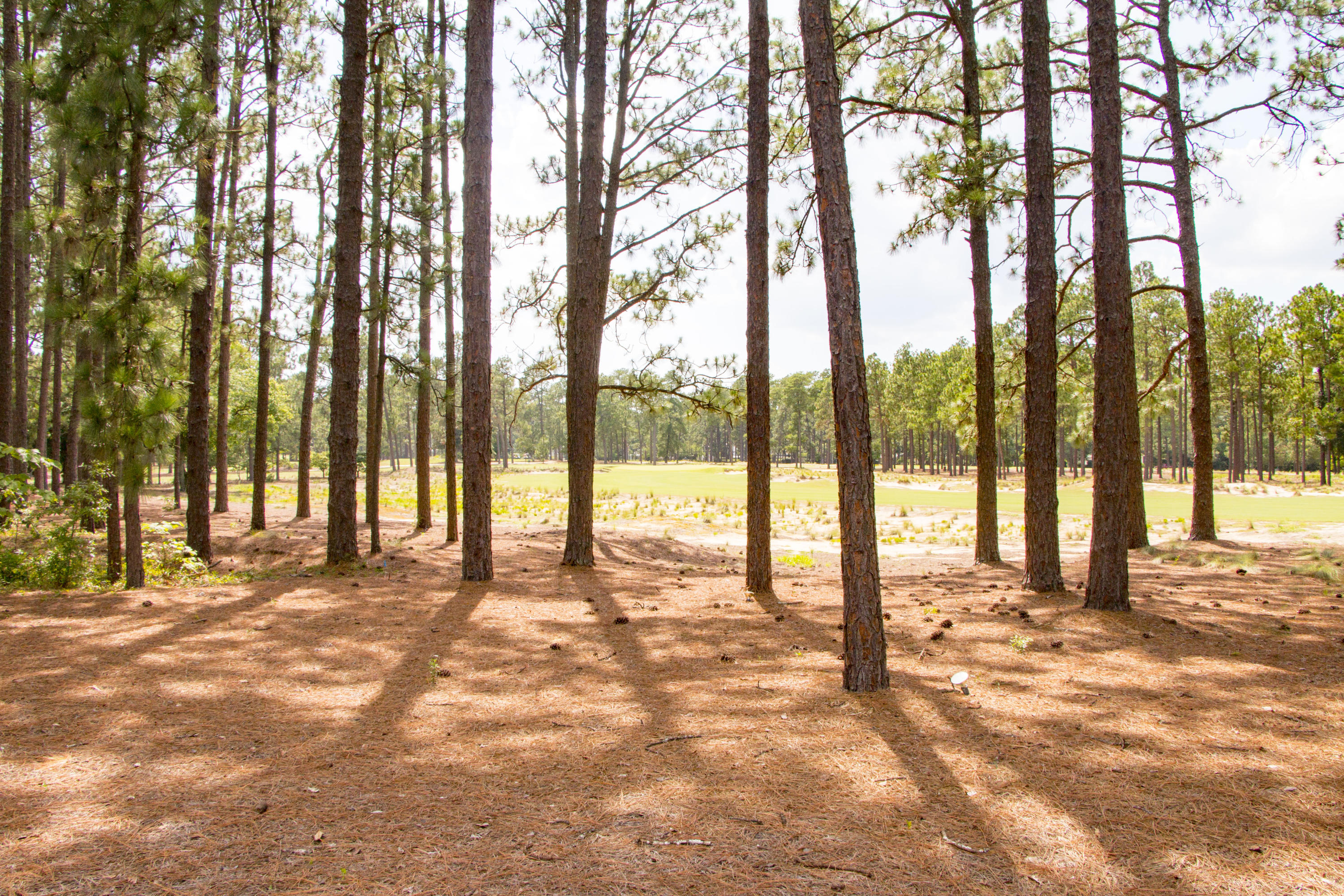 340 Inverrary Road Pinehurst, NC 28374 - Photo 14 of 17 17