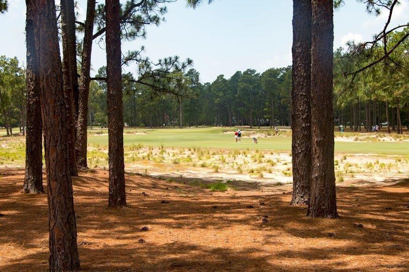340 Inverrary Road Pinehurst, NC 28374 - Photo 3 of 17 340 golf view2
