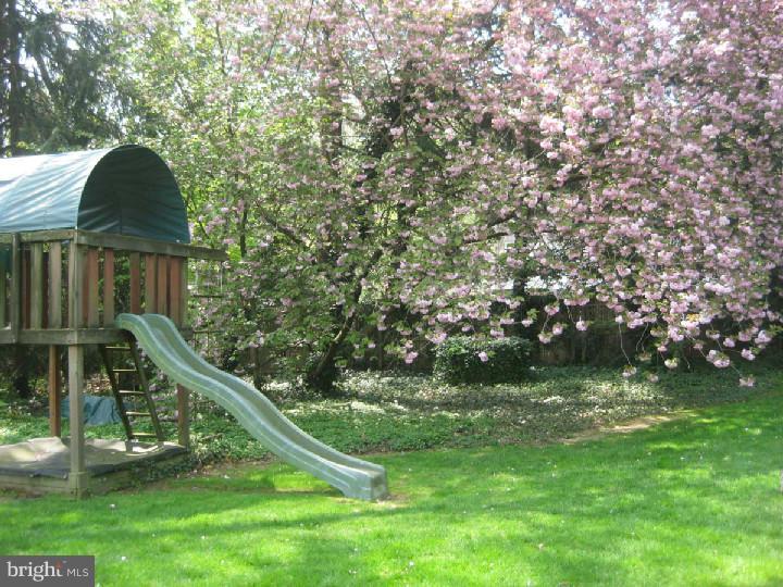 414 Thayer Road Swarthmore, PA 19081 - Photo 24 of 24 Back Yard