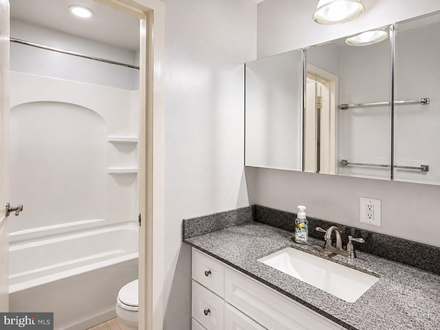 1724 Mosser Road, Unit 11 McHenry, MD 21541 - Photo 16 of 24 a bathroom with a granite countertop sink and a mirror