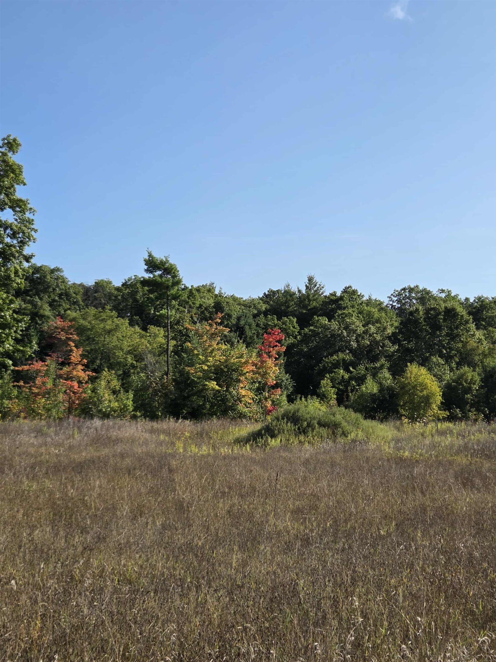 0 Runyon Lane Hale, MI 48739 - Photo 5 of 5